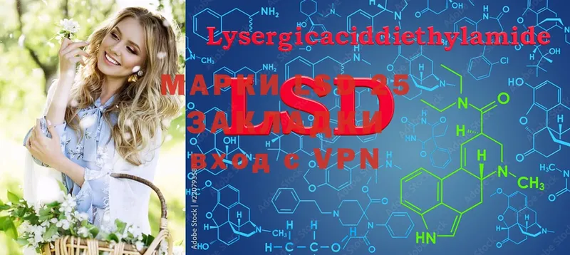 дарнет шоп  Каргополь  shop формула  LSD-25 экстази кислота 